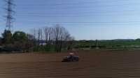 Seed Potato Planting